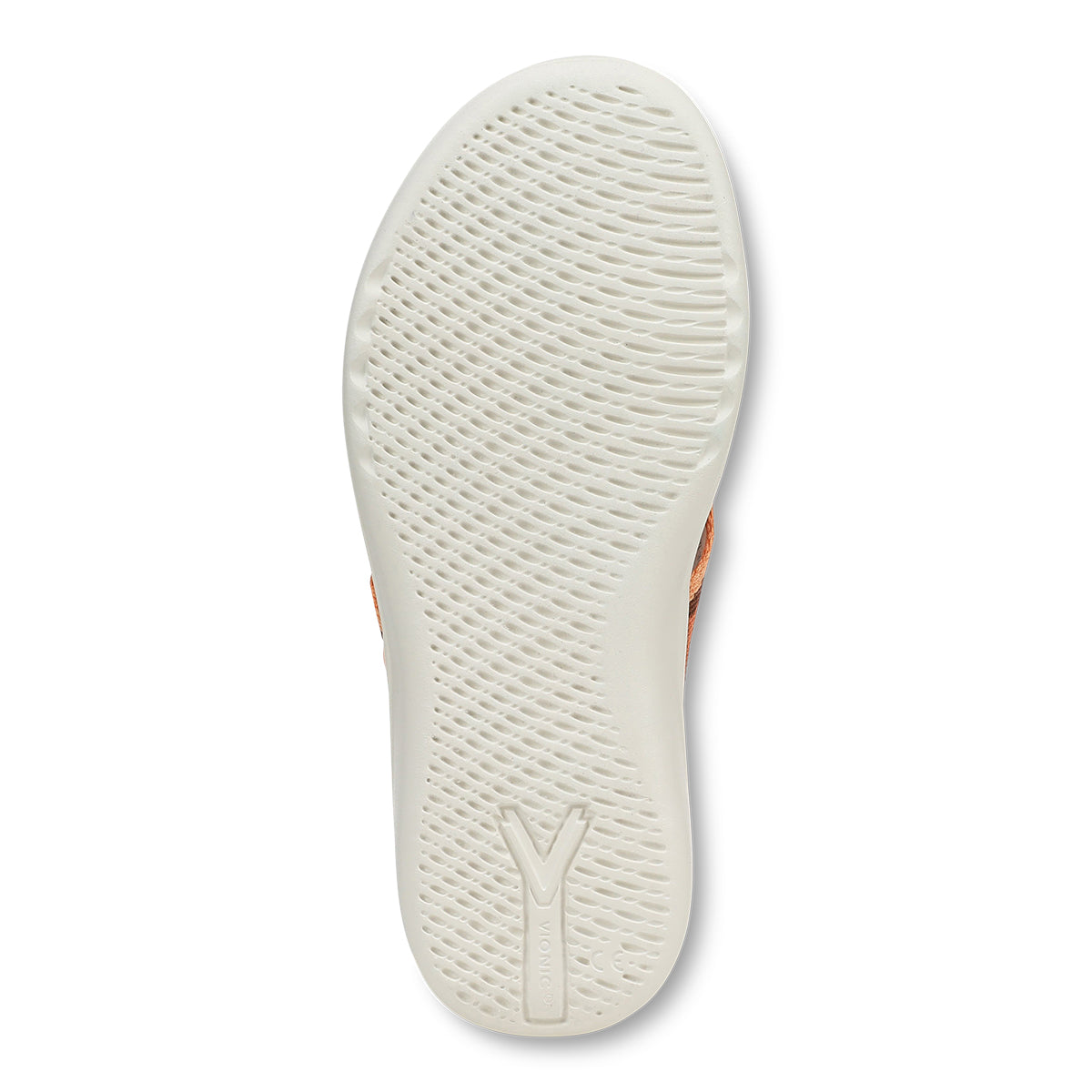 SHELL CORAL MULTI | Bottom