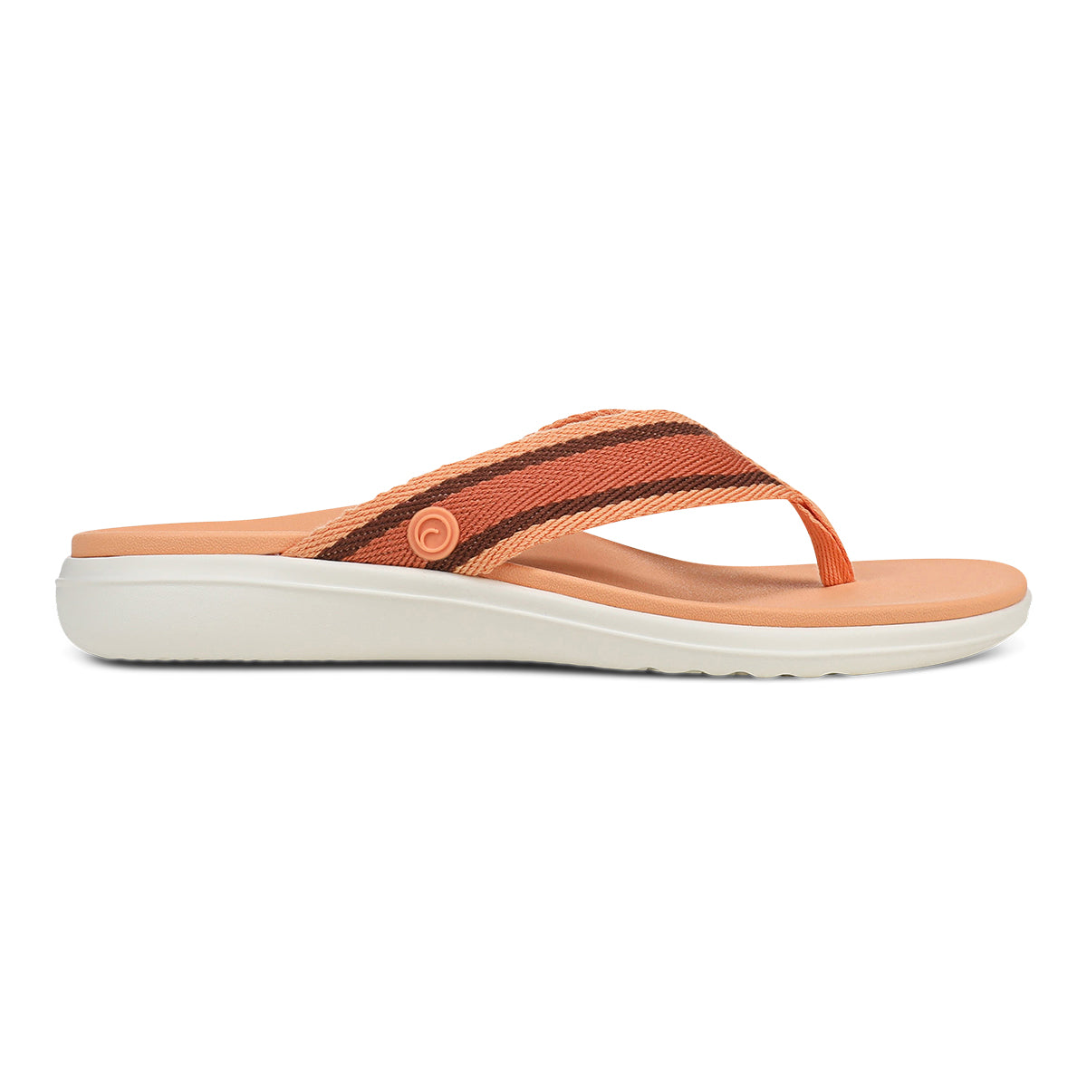 SHELL CORAL MULTI | Right
