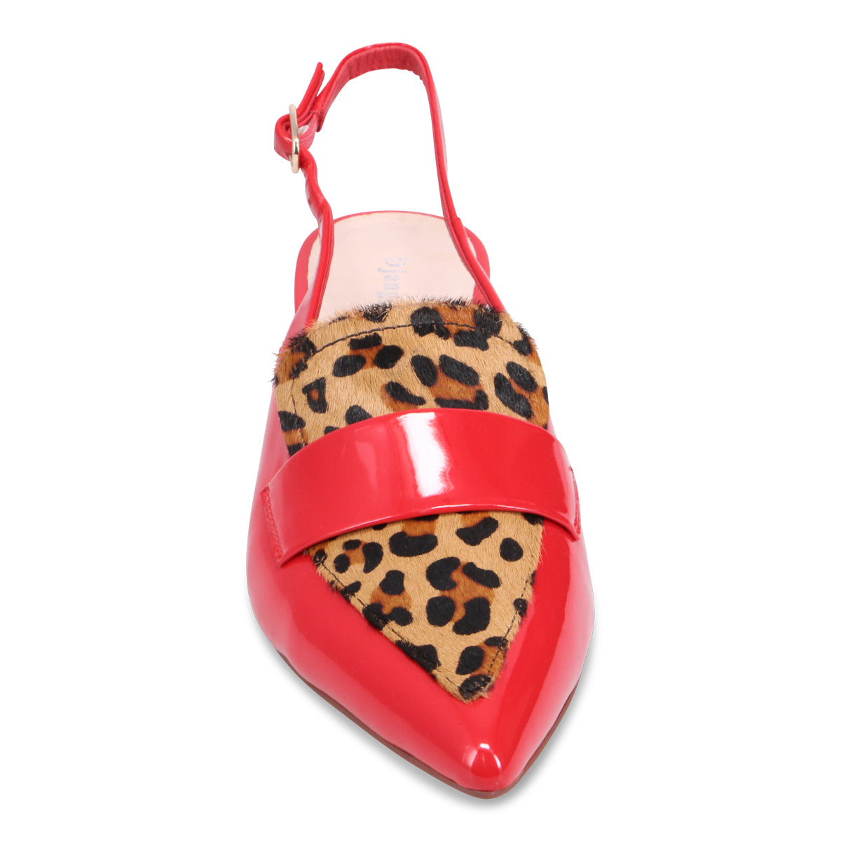 RED LEOPARD | Front