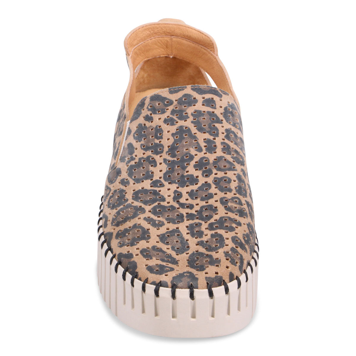 CAMEL LEOPARD | Front