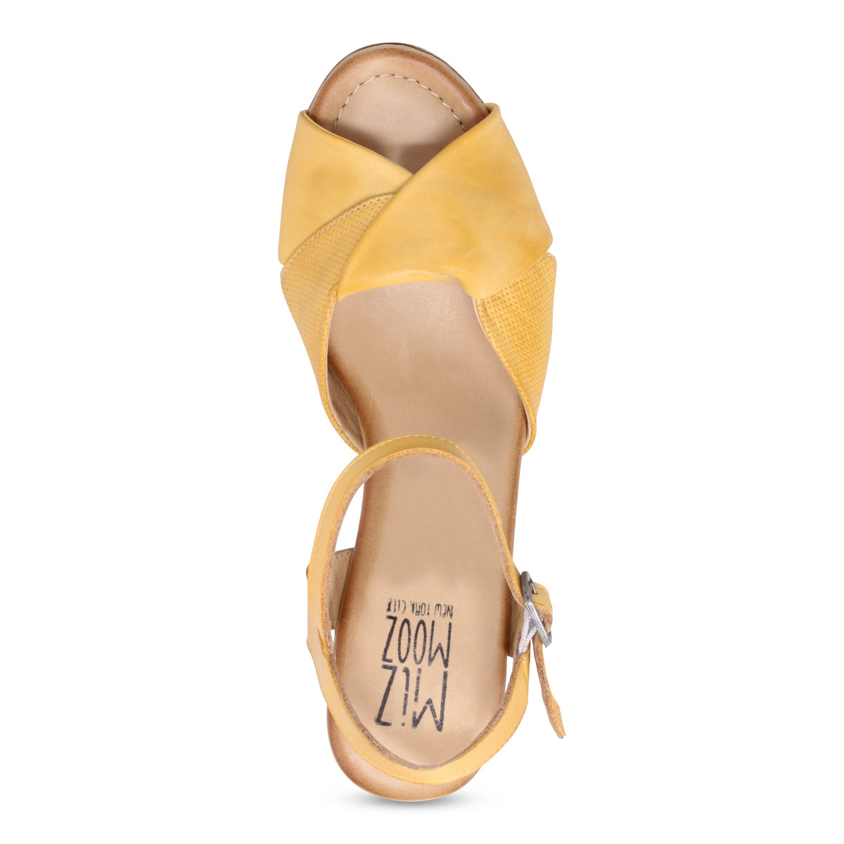 OCHRE | Top