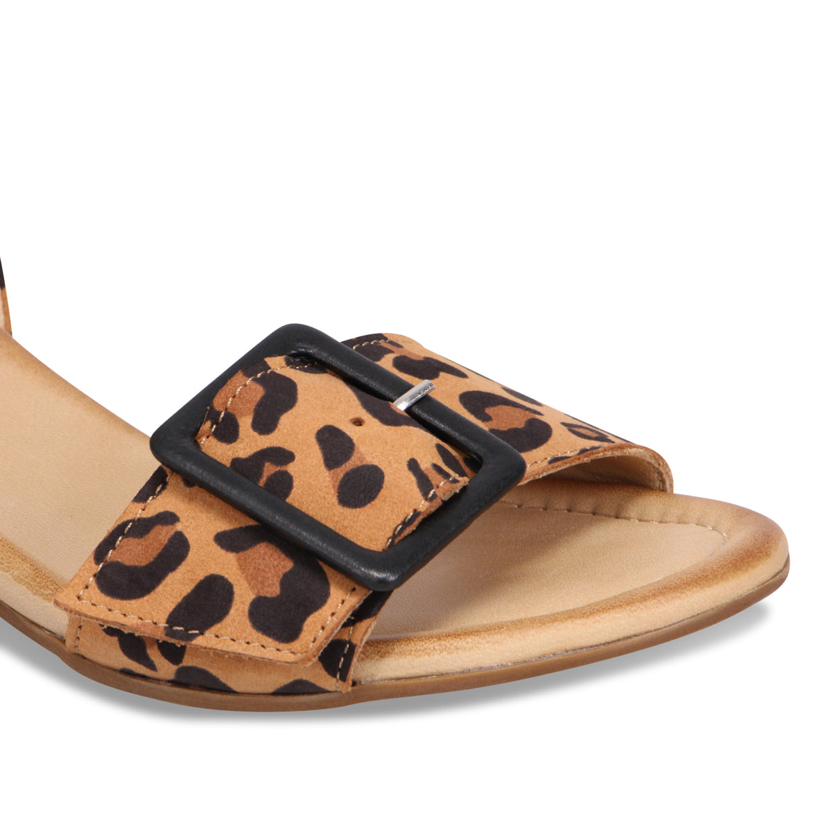 LEOPARD | Detail