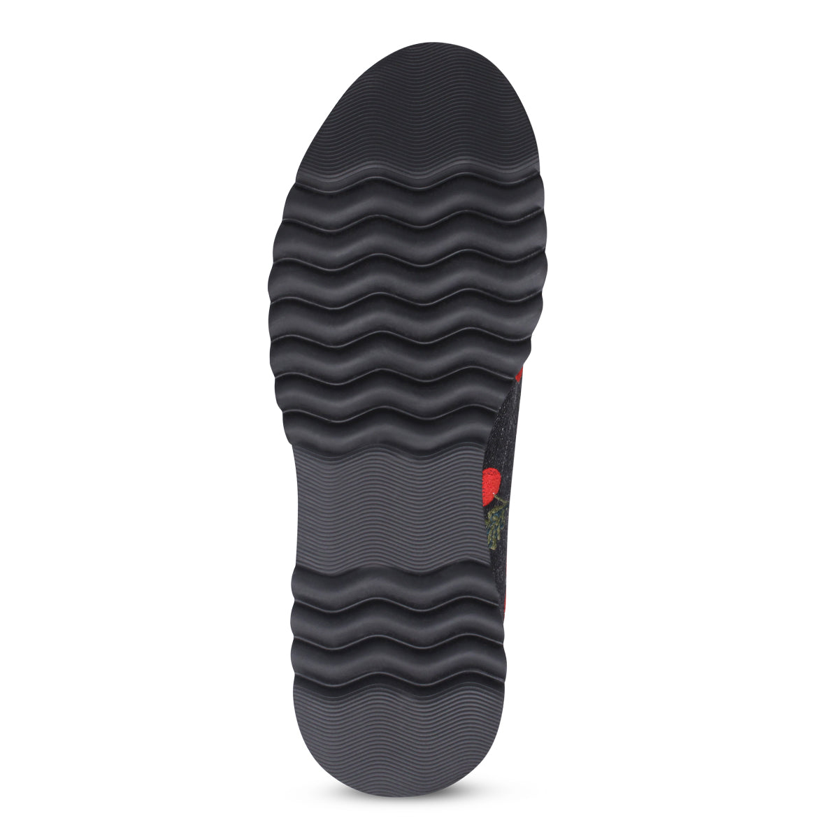 BLACK CHERRIES | Bottom