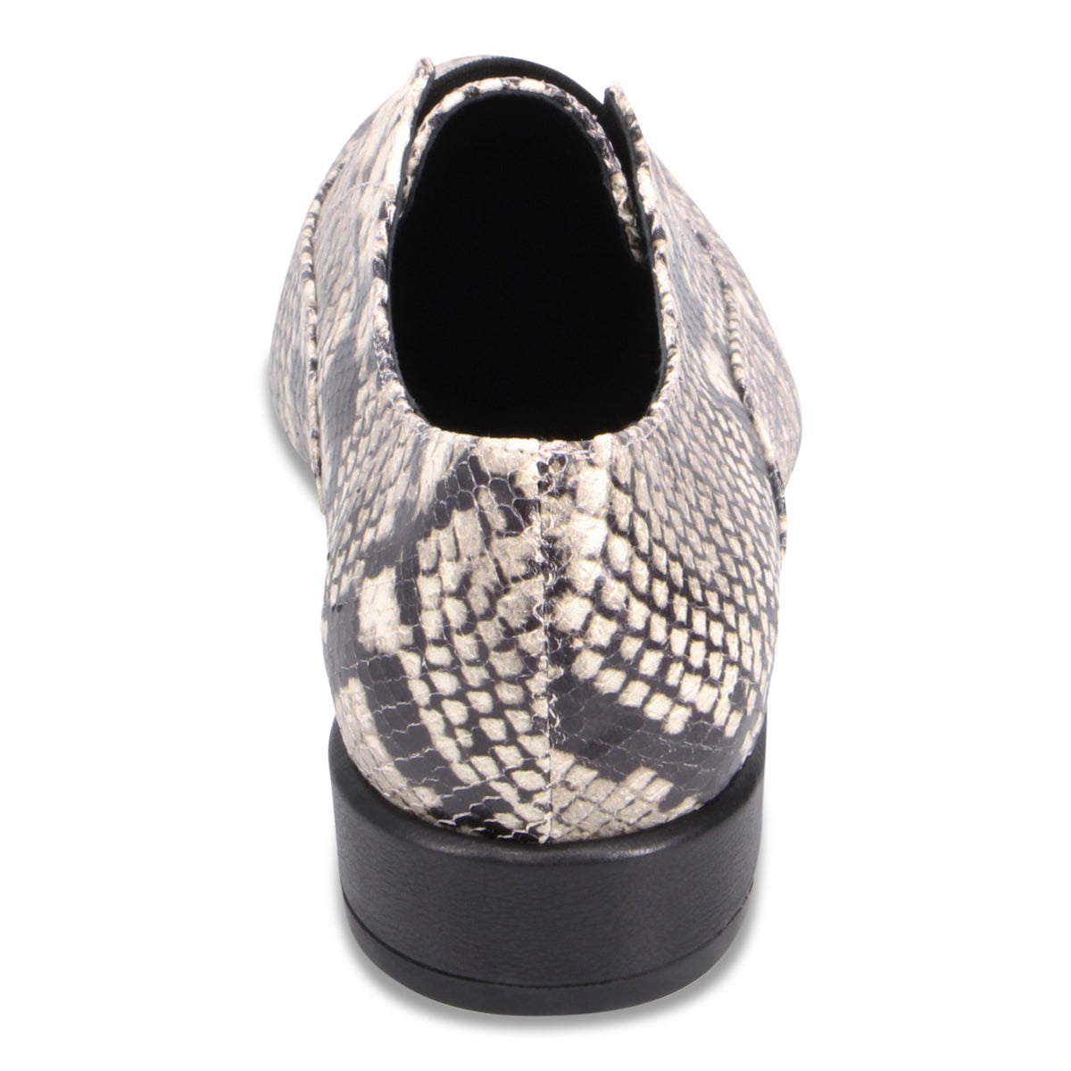 BLACK WHITE SNAKE | Rear