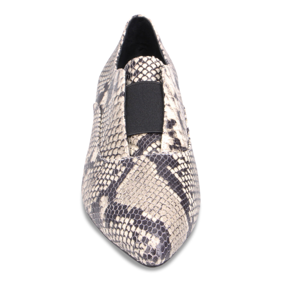 BLACK WHITE SNAKE | Front
