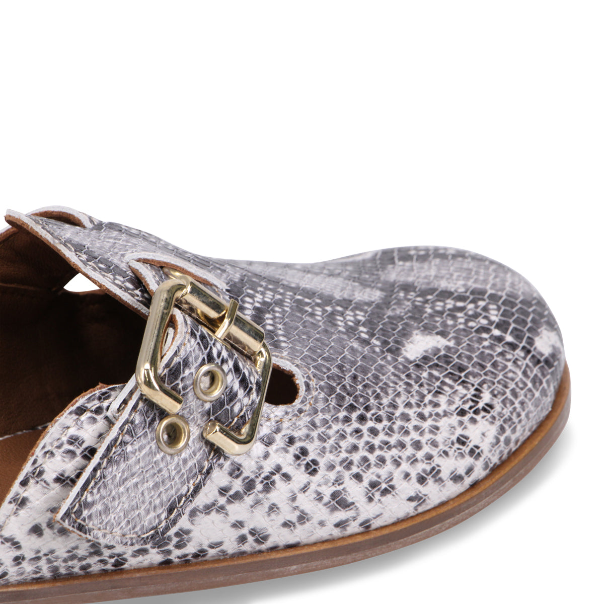 WHITE SNAKE | Detail