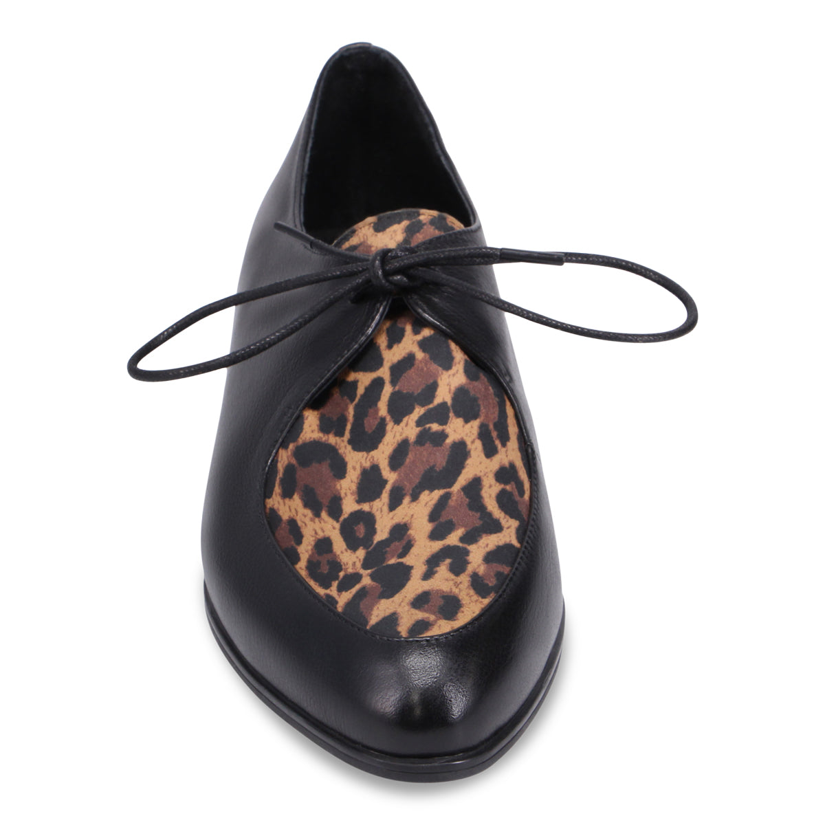 BLACK TAN LEOPARD | Front
