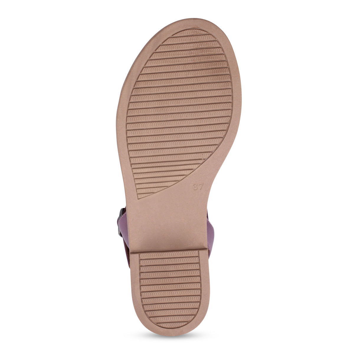 PURPLE COMBO | Bottom