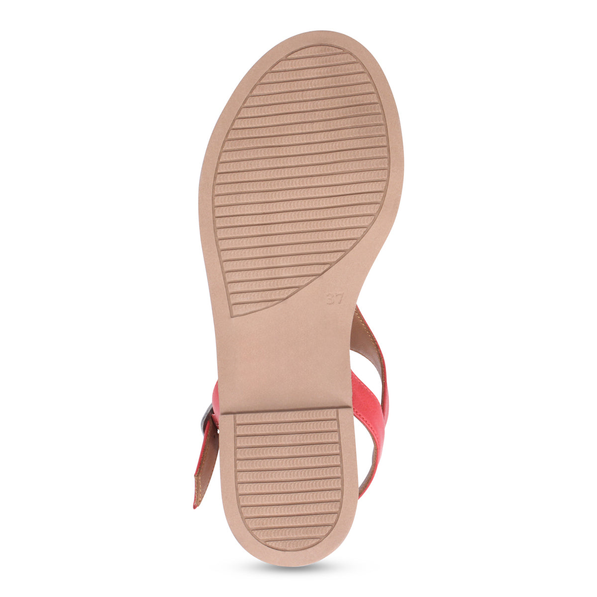 RED SNAKE COMBO | Bottom