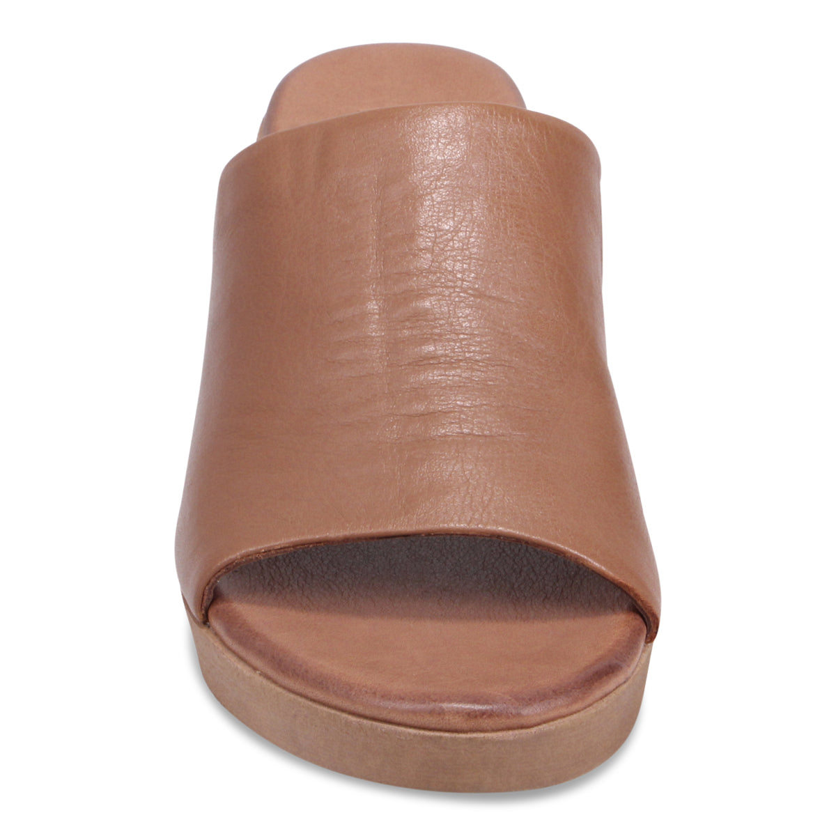 WALNUT | Front