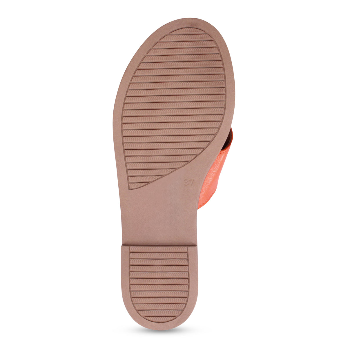 SUNSET | Bottom
