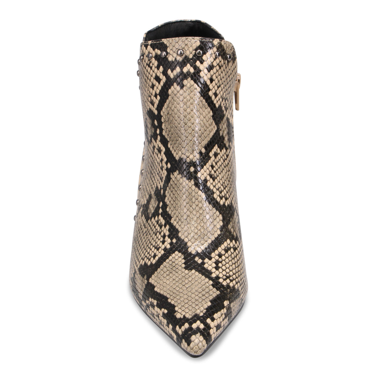 BROWN SNAKE | Front