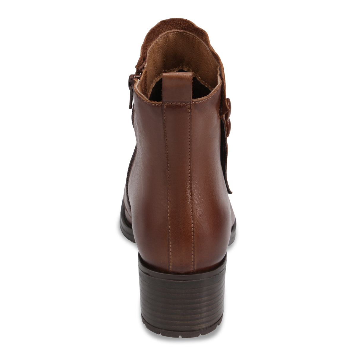 BRANDY | Rear