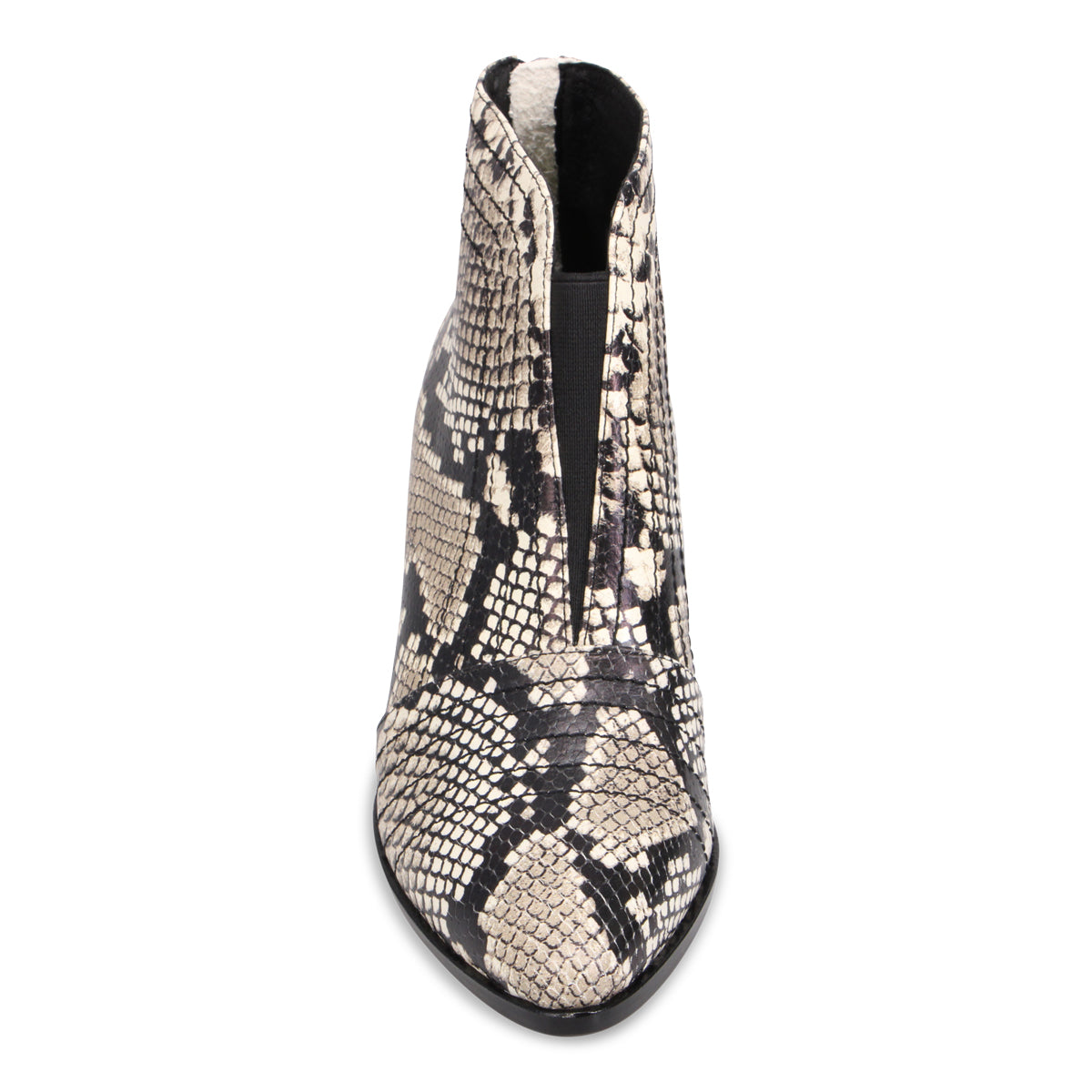 BLACK WHITE SNAKE | Front