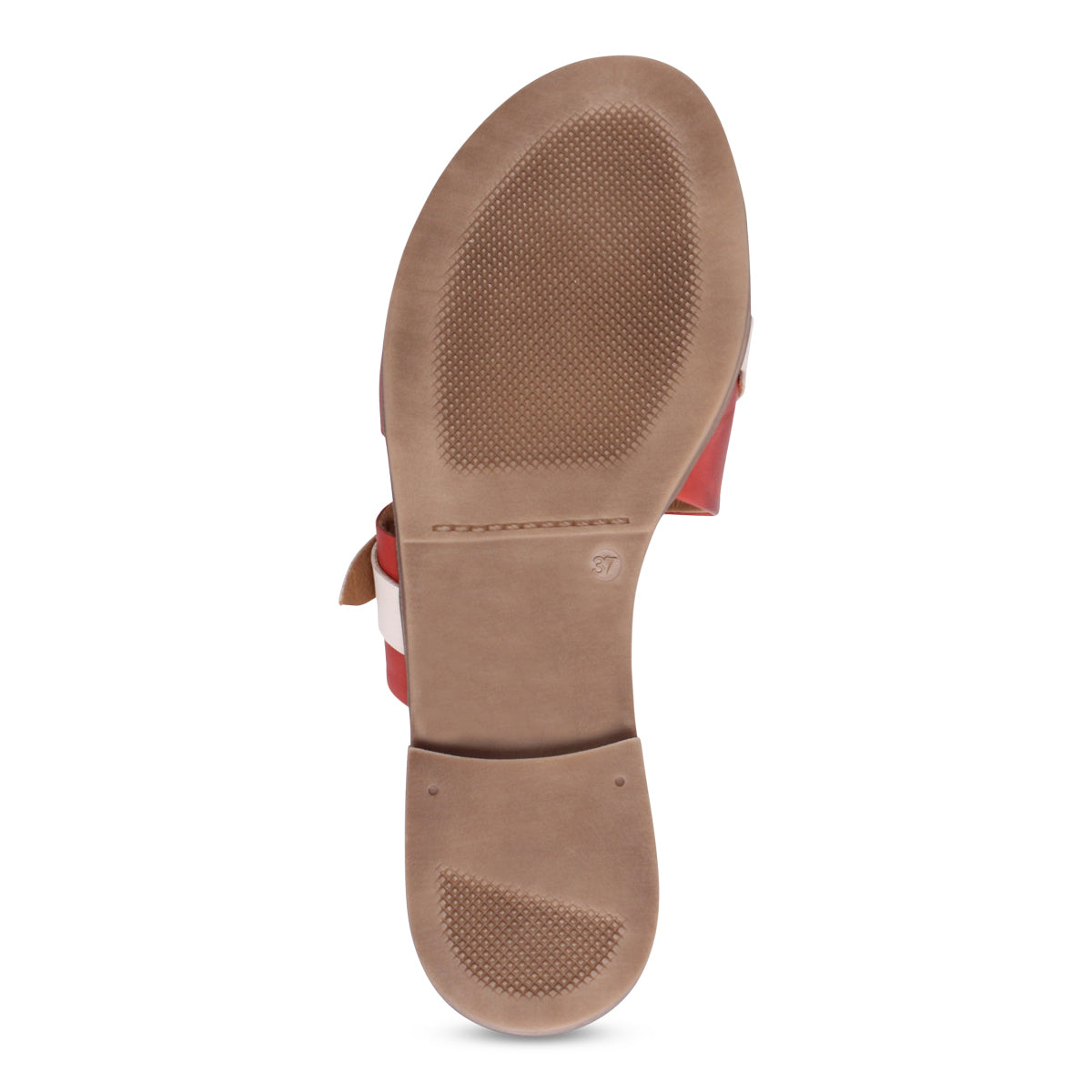 RED + CREAM | Bottom