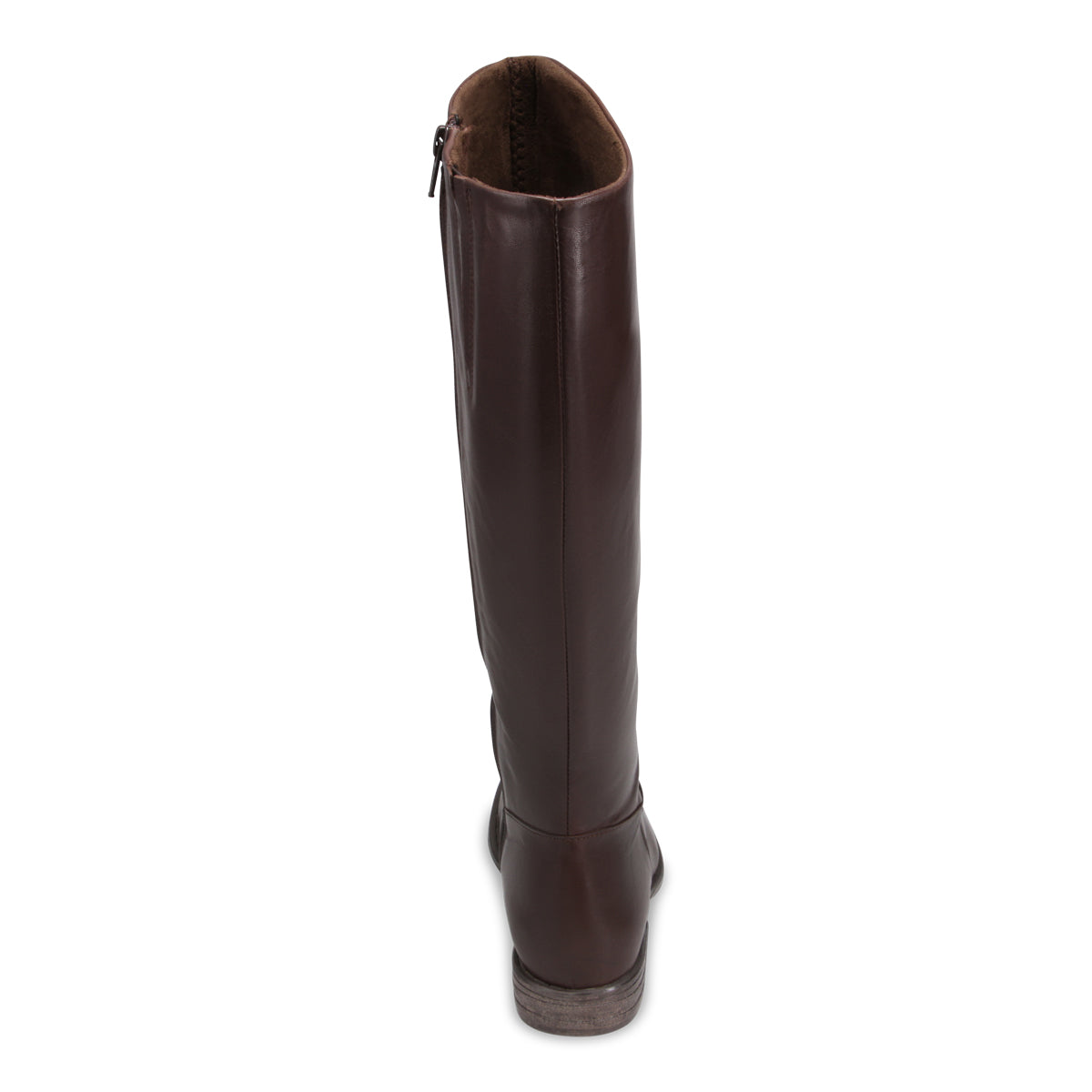 BROWN | Rear
