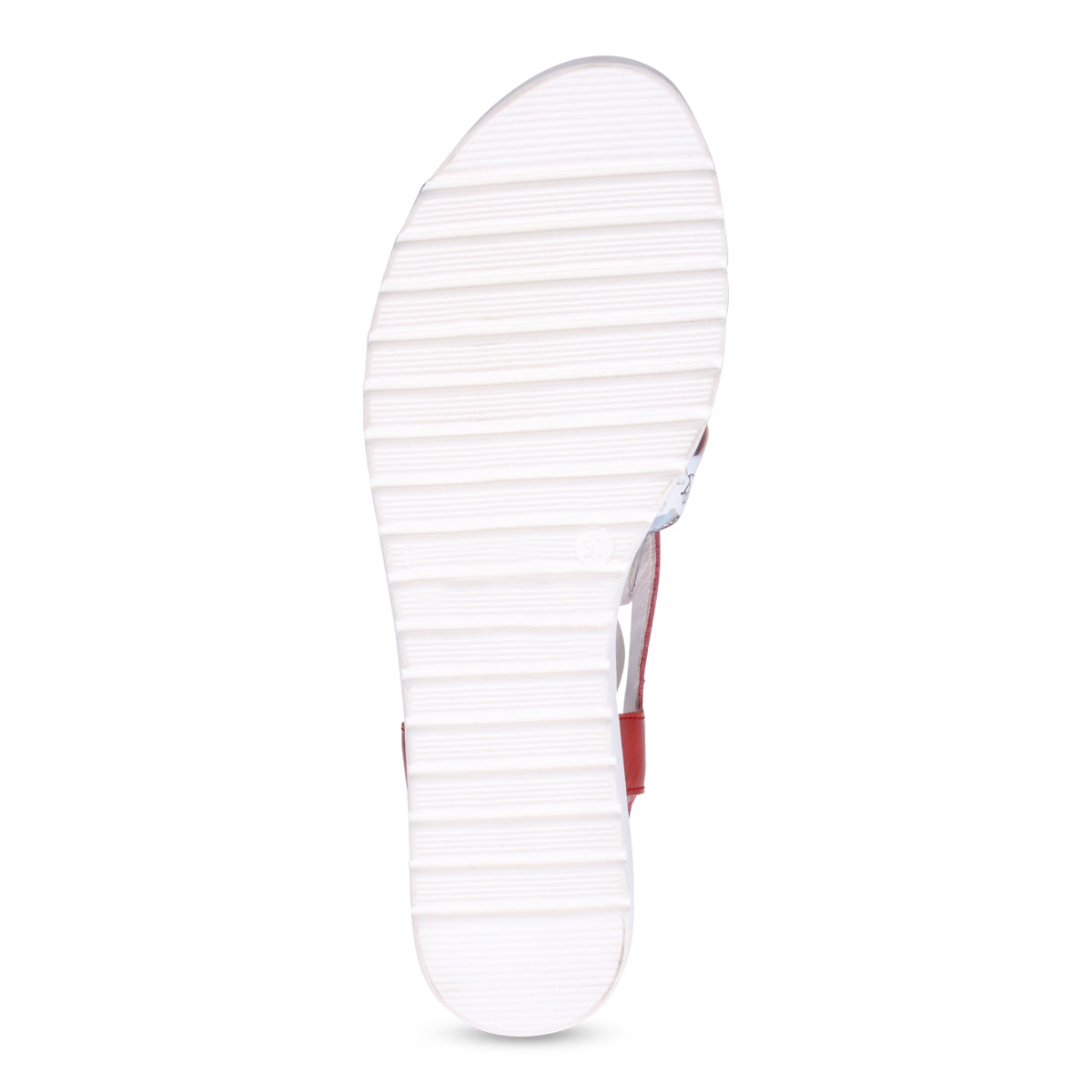 COLLAGE RED | Bottom