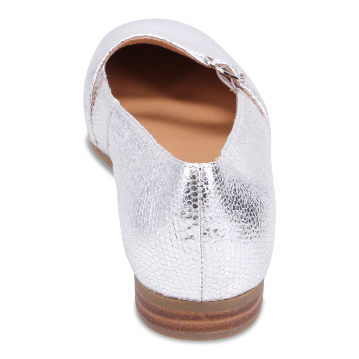 SILVER LIZARD | Rear