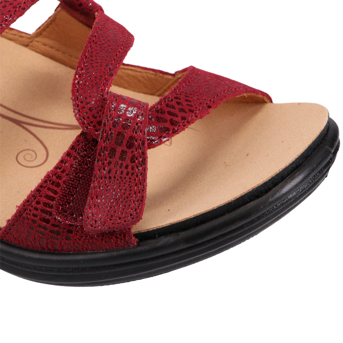 CHERRY LIZARD | Detail