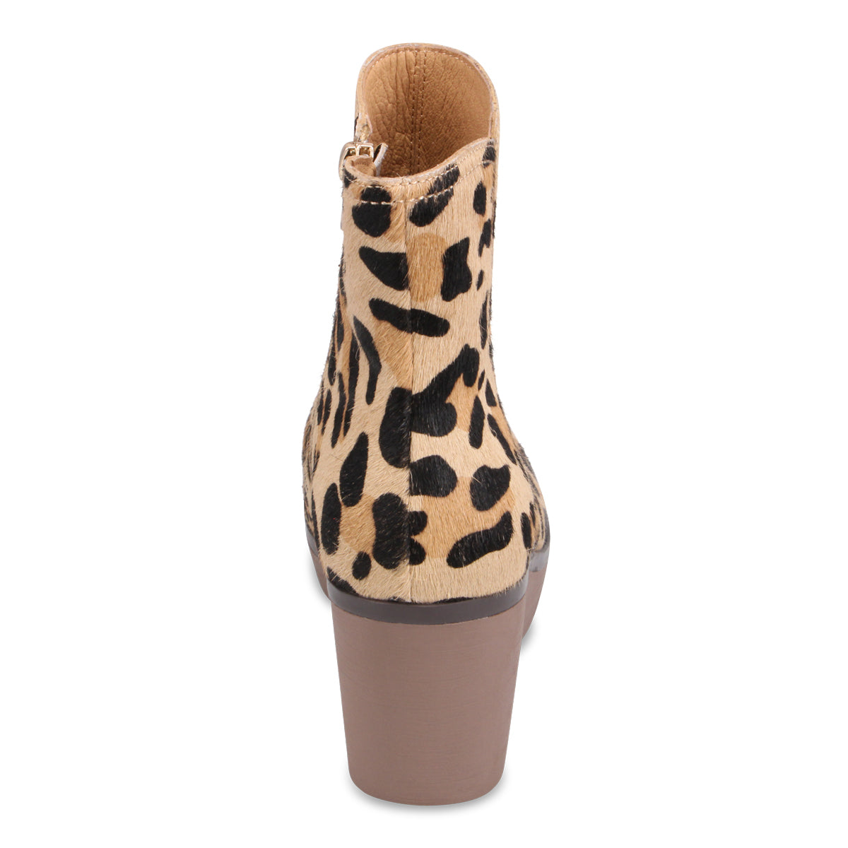 CARAMEL LEOPARD | Rear