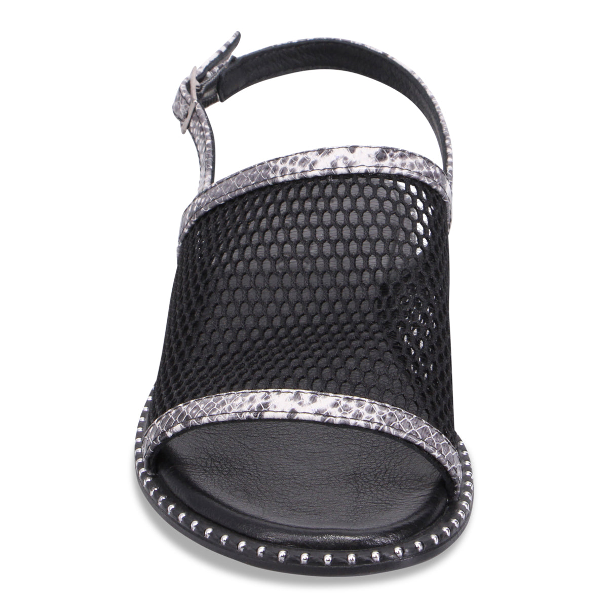 BLACK SNAKE | Front