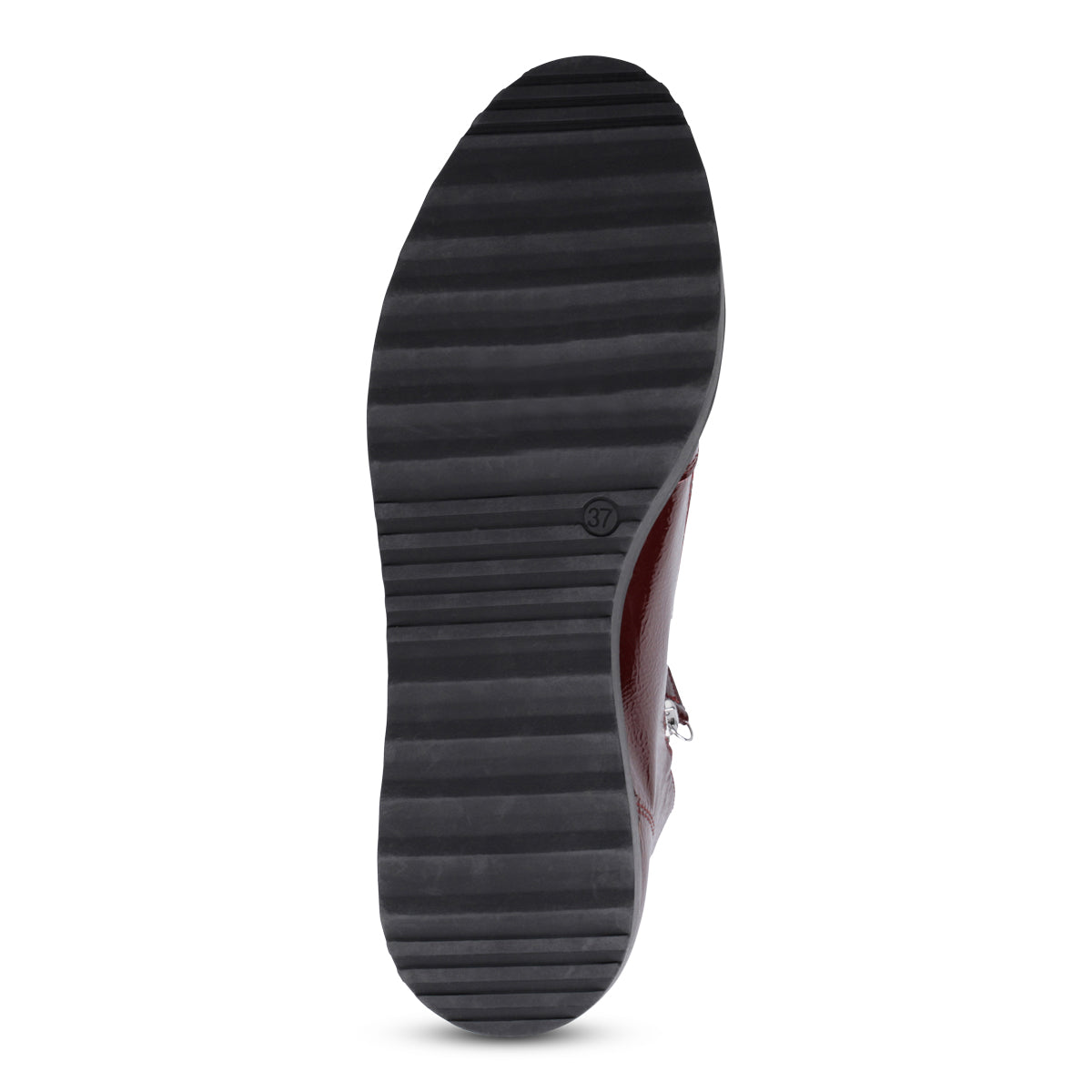 WINE PATENT | Bottom