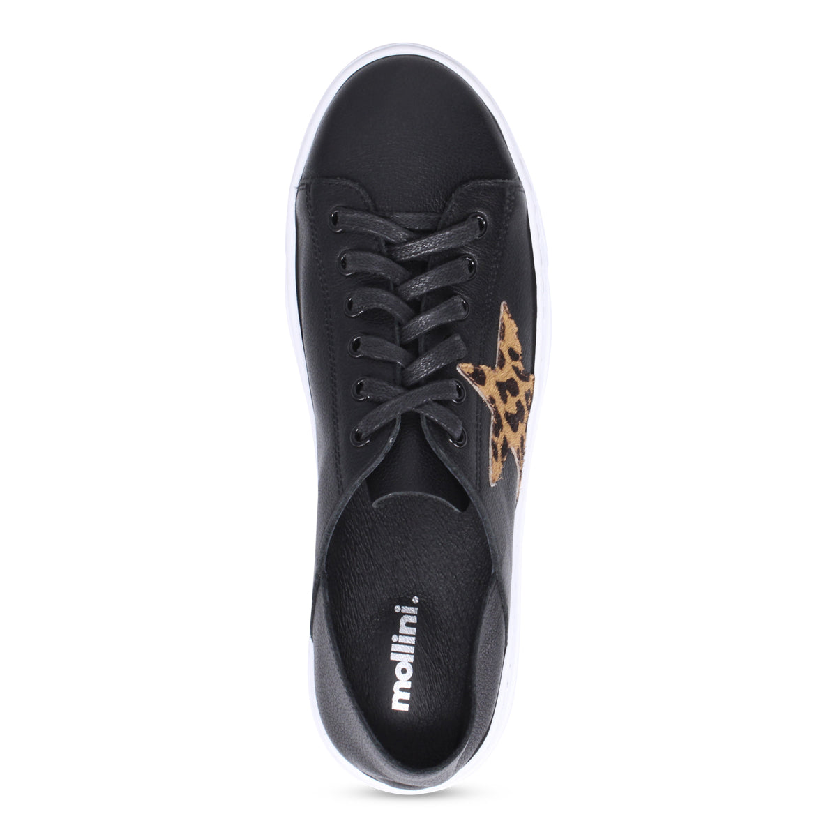 BLACK LEOPARD | Top