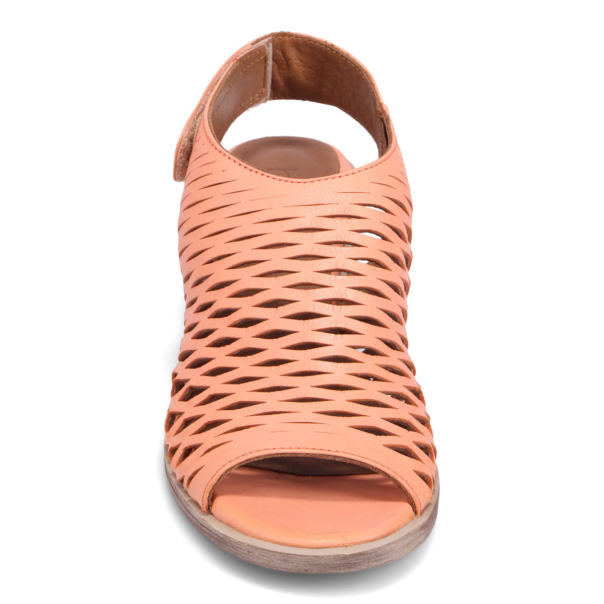 SHELL CORAL | Front