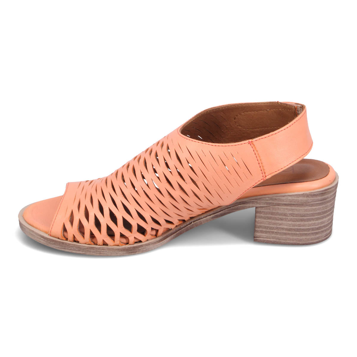 SHELL CORAL | Left