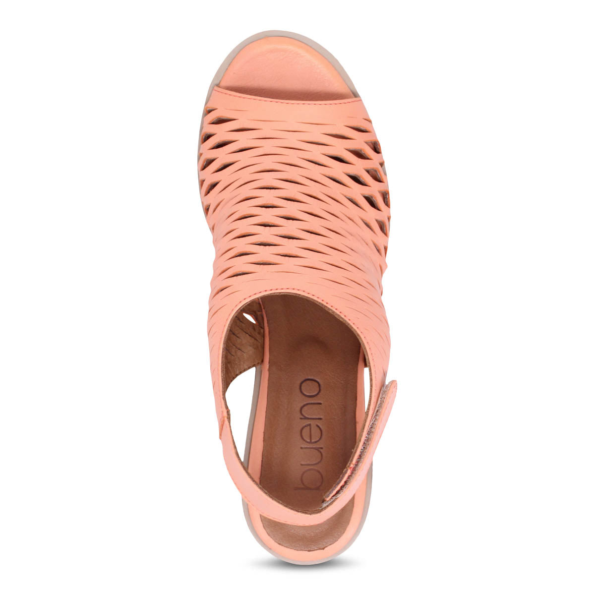 SHELL CORAL | Top