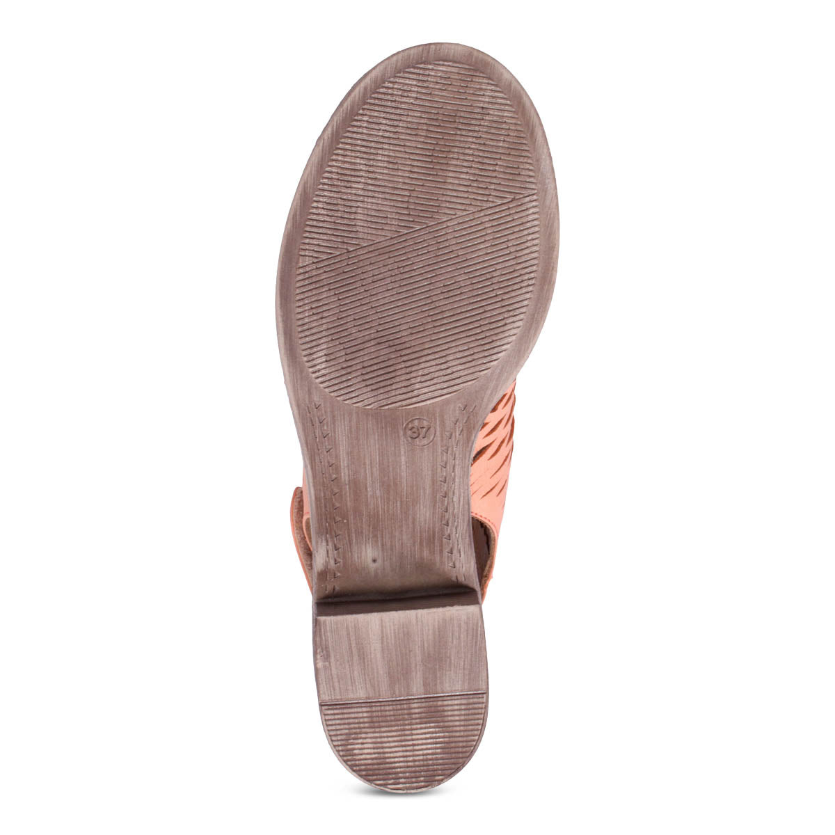 SHELL CORAL | Bottom