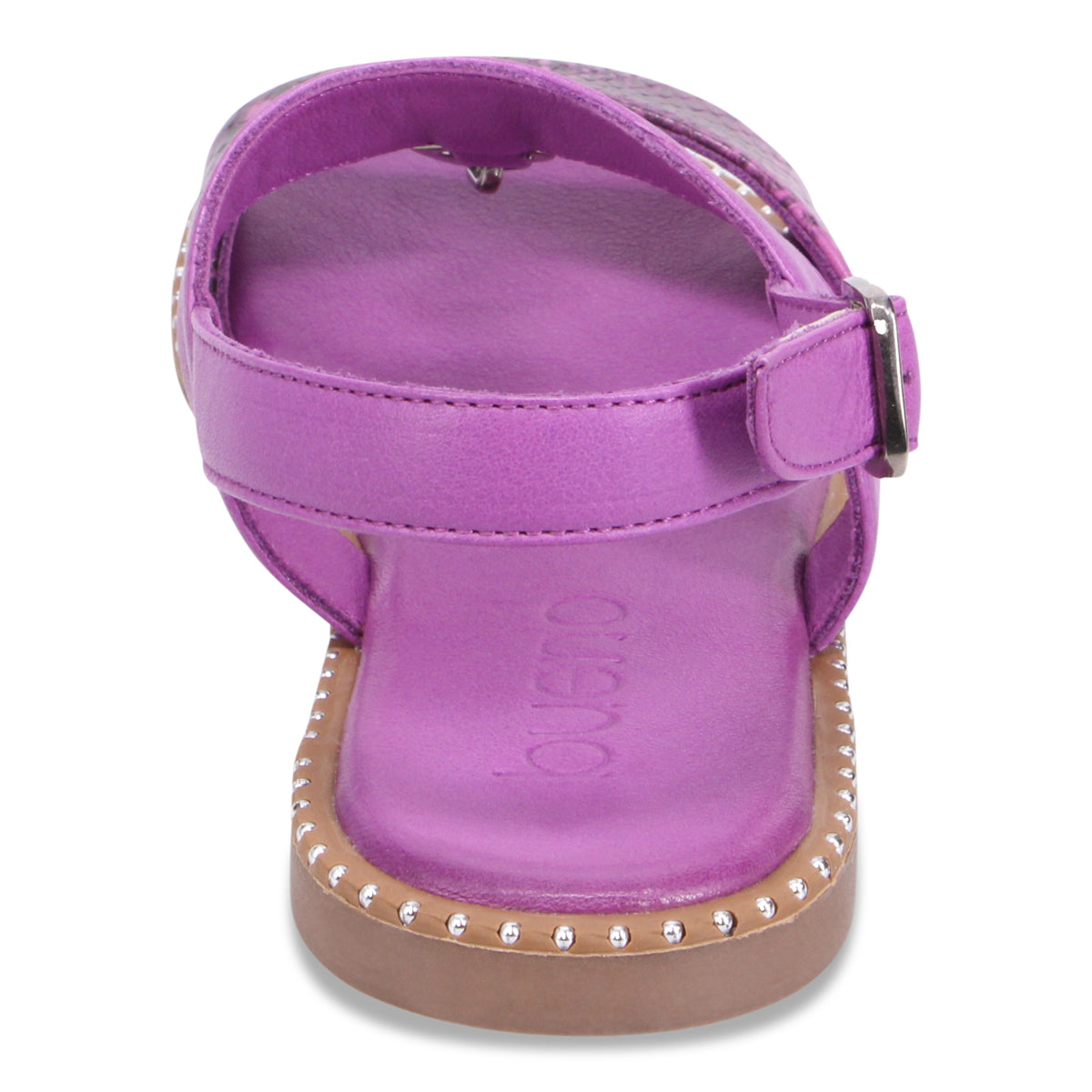 PURPLE SNAKE | Rear