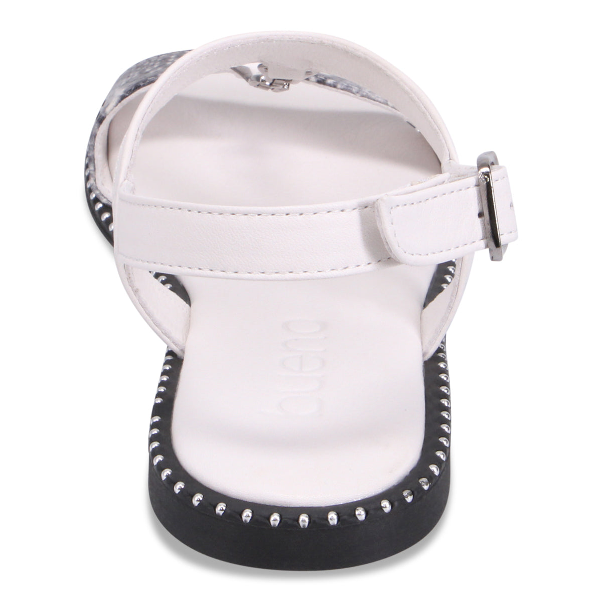 WHITE SNAKE | Rear