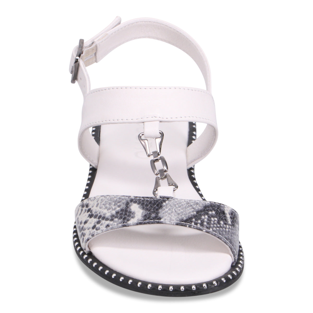 WHITE SNAKE | Front