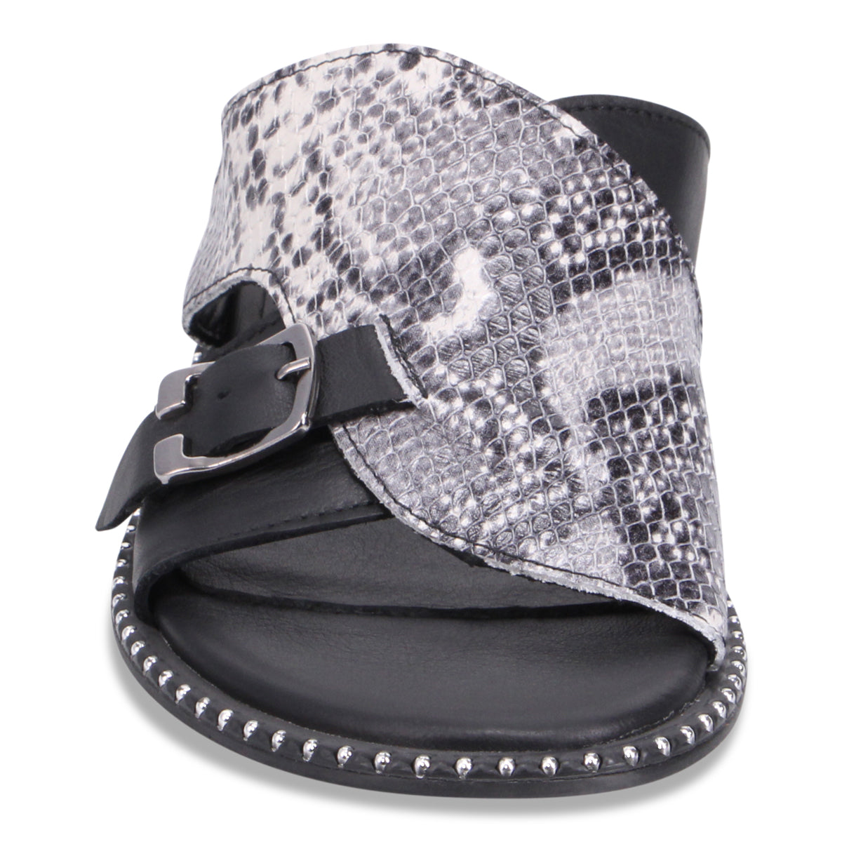 BLACK SNAKE | Front
