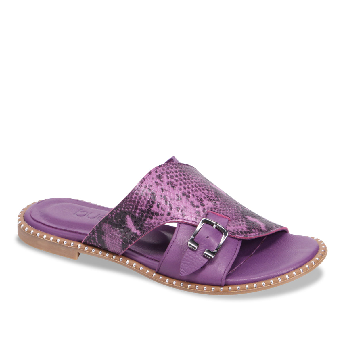 PURPLE SNAKE