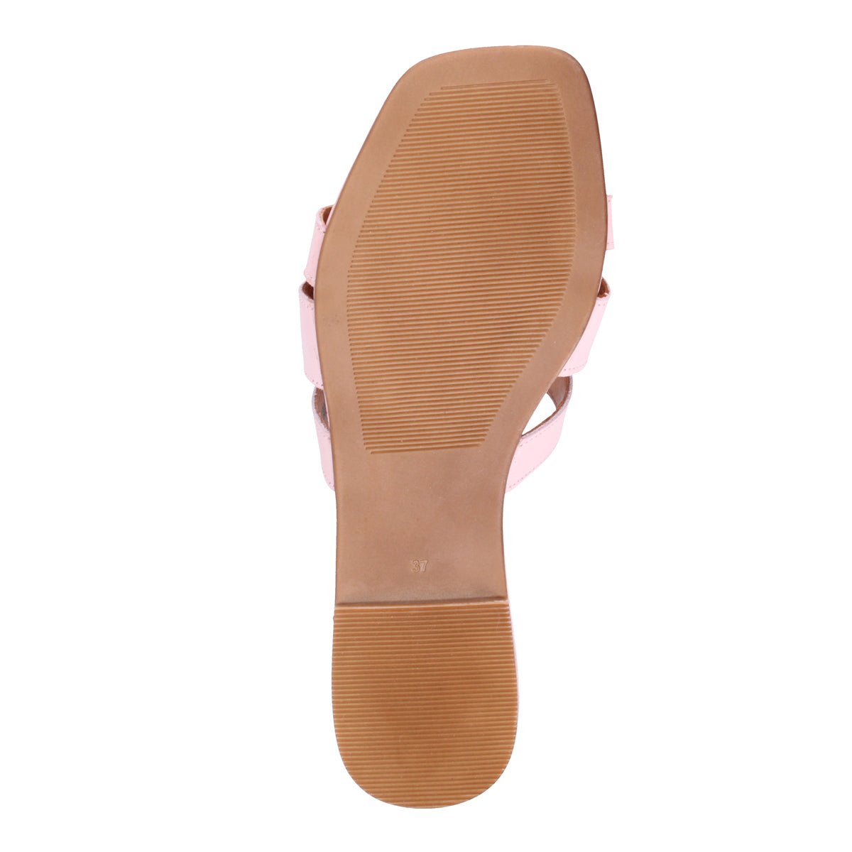 BALLET | Bottom