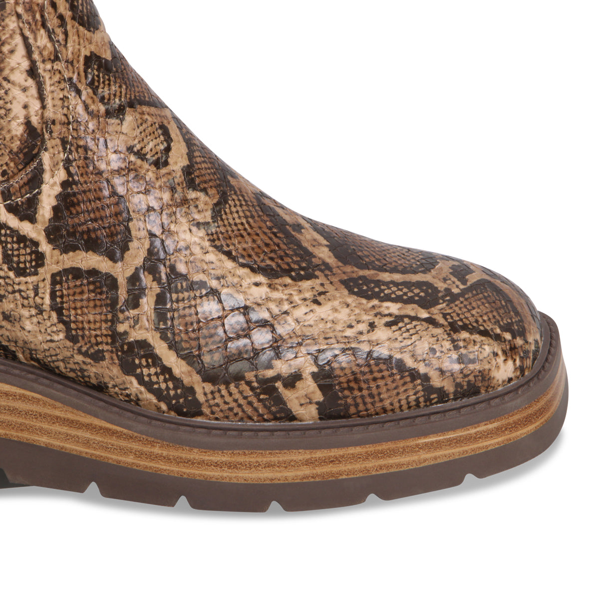 TAUPE SNAKE | Detail