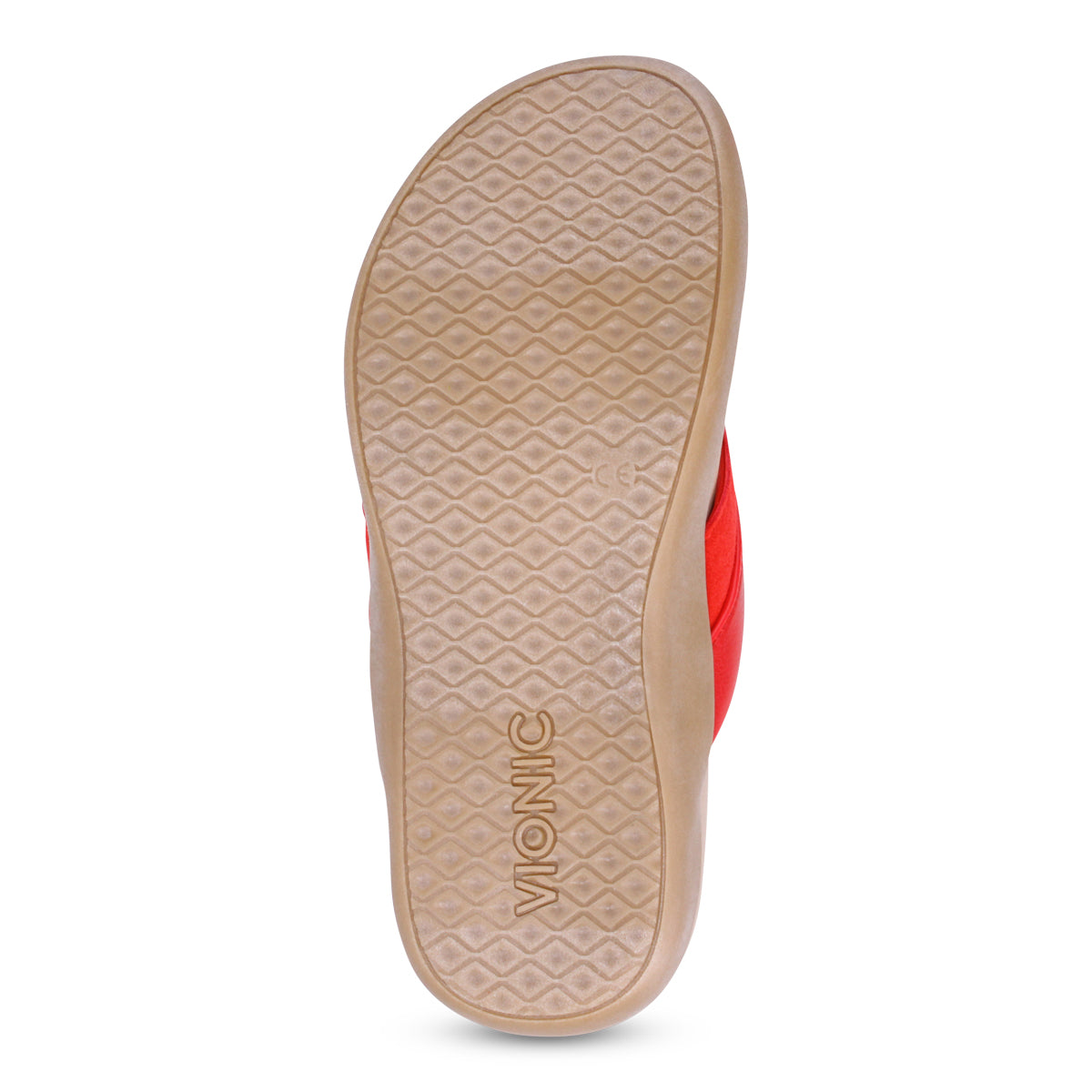 FRUIT PUNCH | Bottom