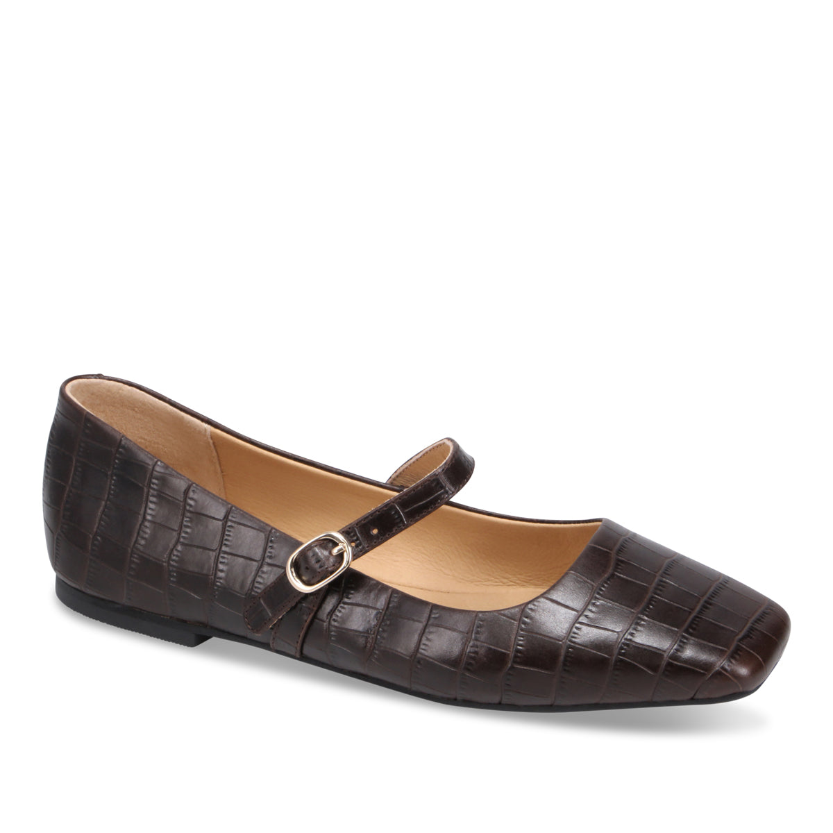 BROWN SHINE CROC