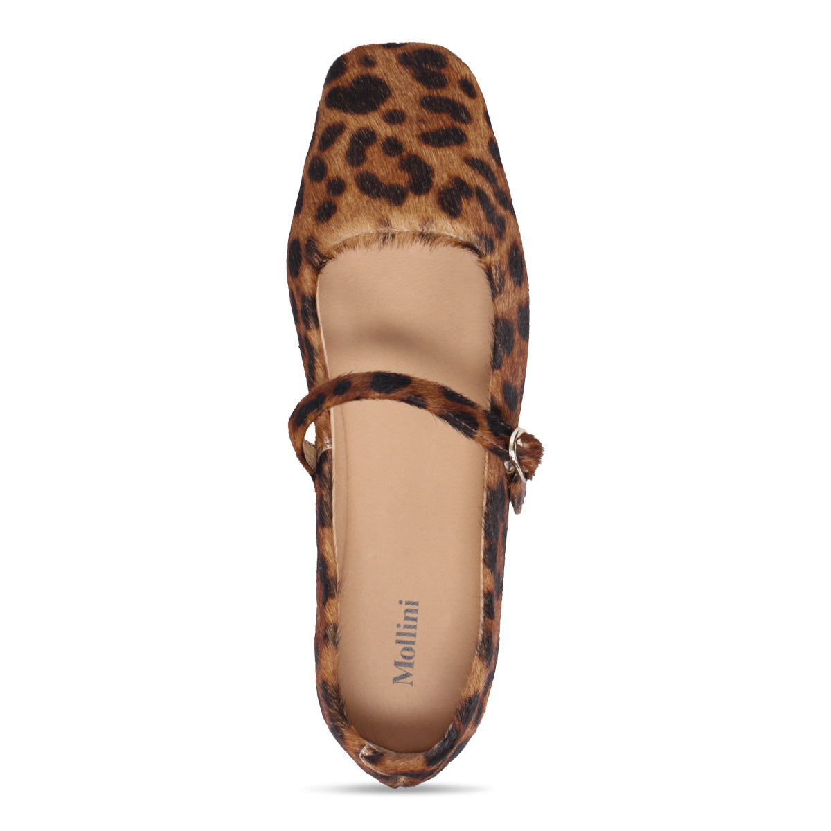 DARK LEOPARD PONY | Top