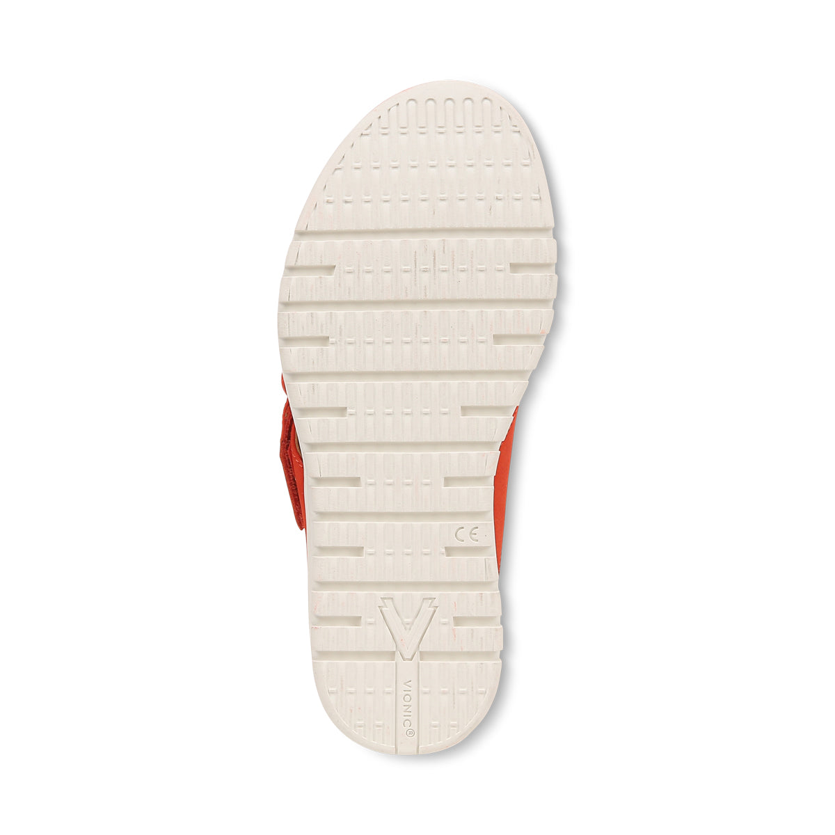 CHERRY TOMATO | Bottom