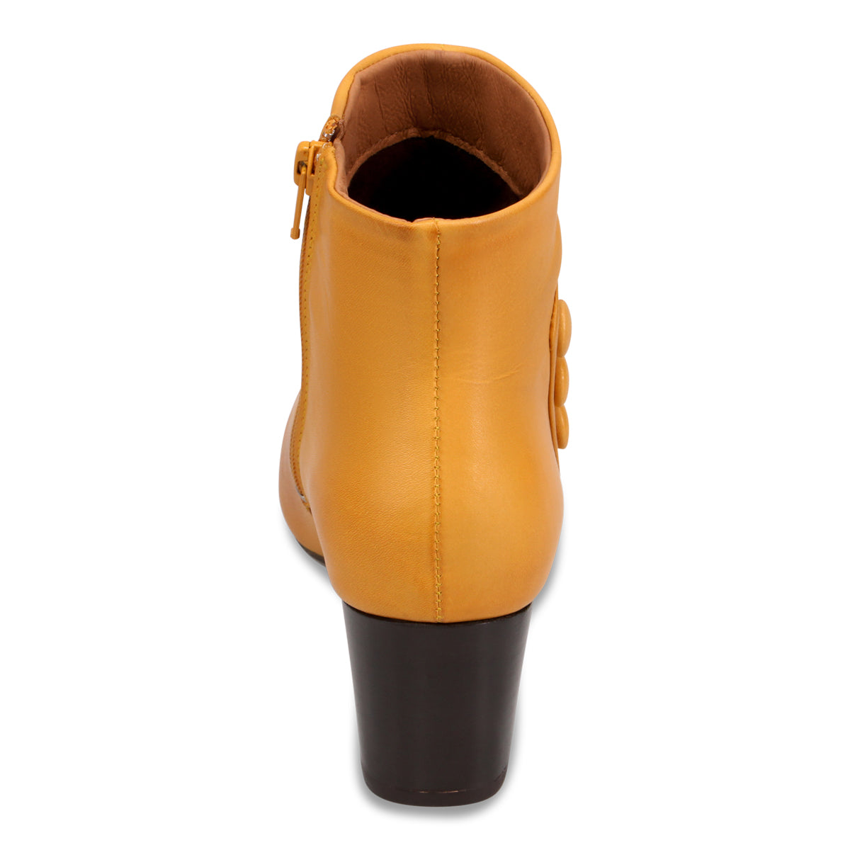 OCHRE | Rear