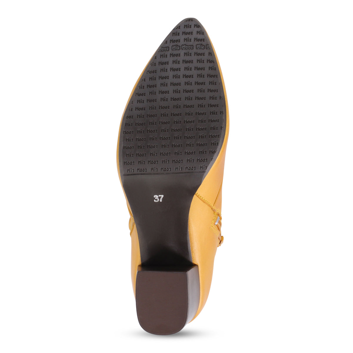 OCHRE | Bottom