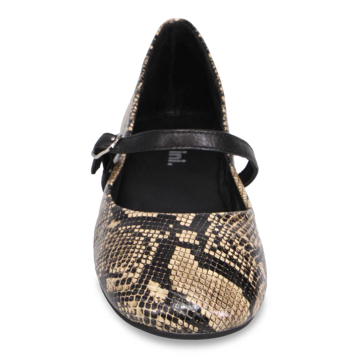 FAWN/BLACK SNAKE | Front