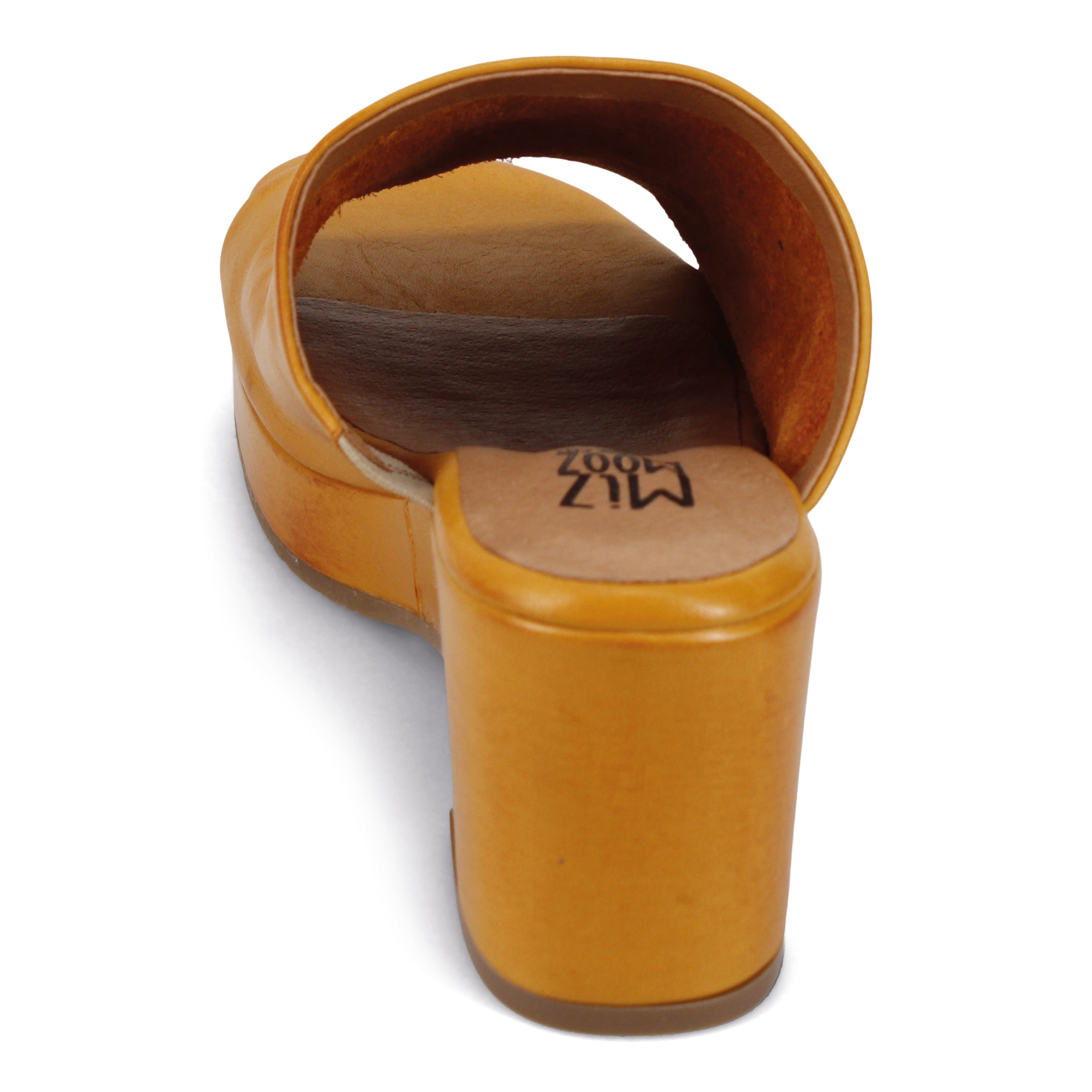 OCHRE | Rear