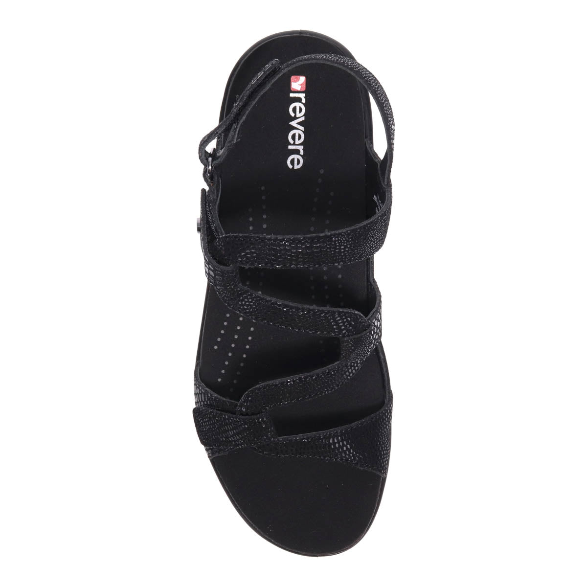 BLACK LIZARD | Top