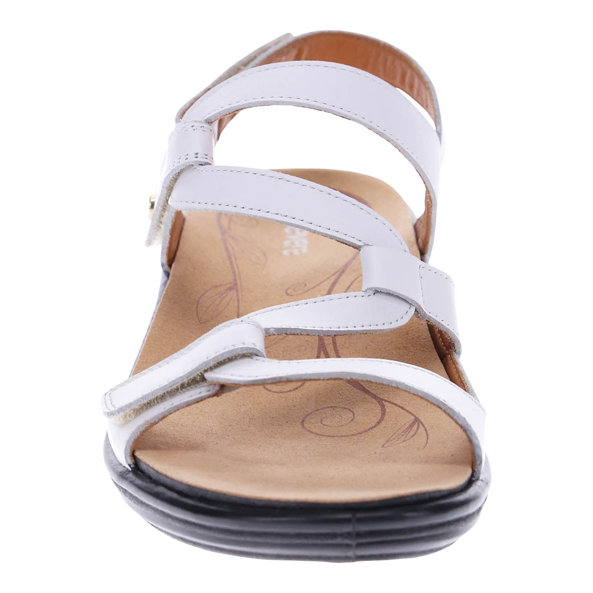 COCONUT | Front