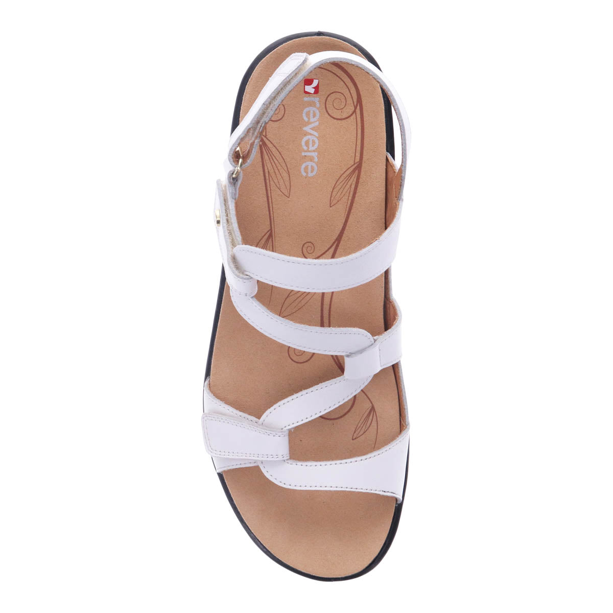 COCONUT | Top