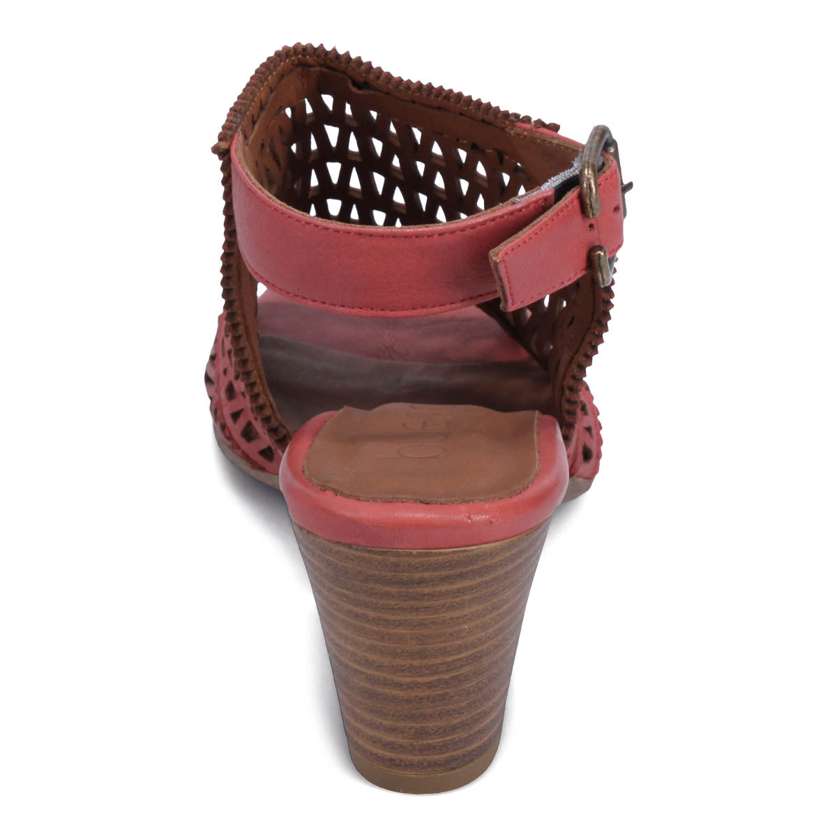 TERRACOTTA | Rear